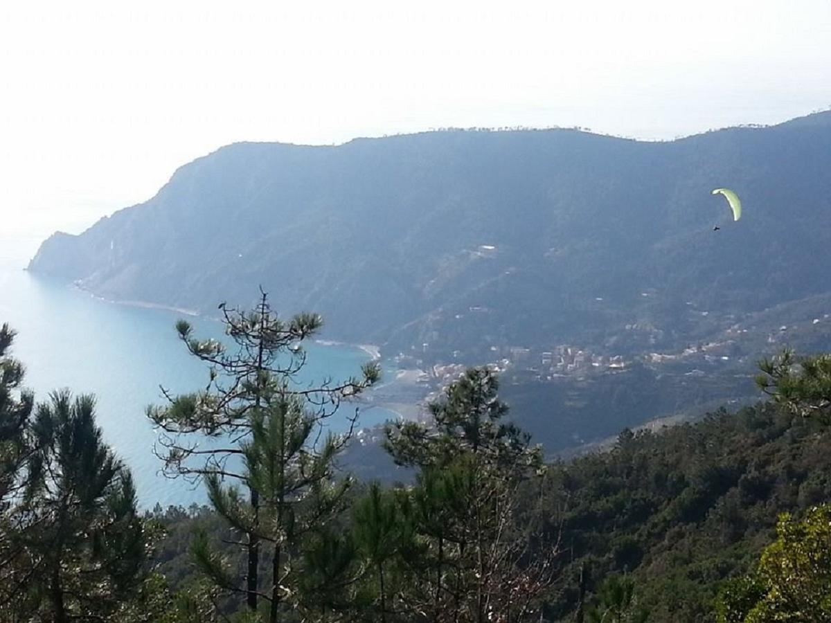 I Lecci Di Soviore Monterosso al Mare Exterior photo